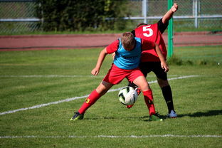 星空app官网下载-中国篮球职业联赛俱乐部运营模式创新及管理经验分享，篮球俱乐部运营与管理