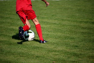 星空体育中国-中国篮球教练员战术执行能力评估体系，中国篮球教练员培训等级