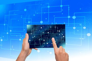 星空体育-中国篮球教练员执教能力提升路径研究，中国篮球教练员岗位培训a级教程书籍